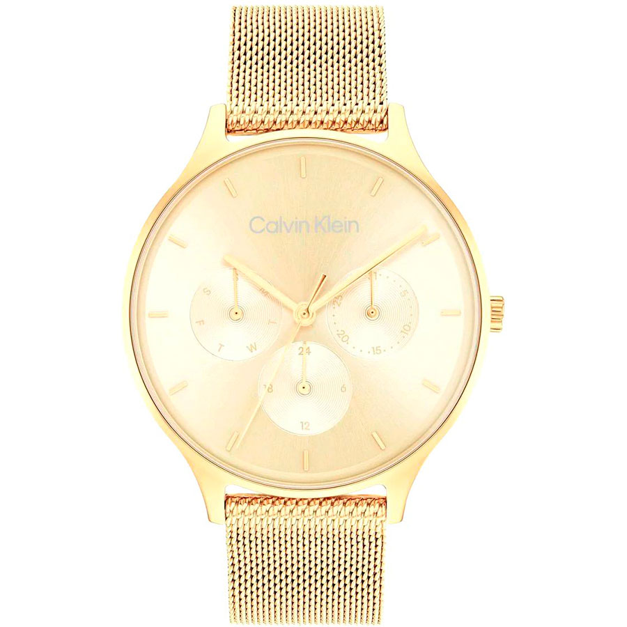 Часы Calvin Klein Multifunction 25200103